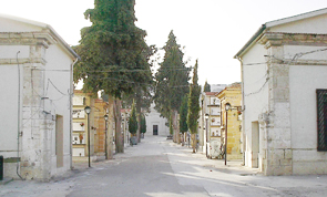 Viale principale dell'antico impianto del cimitero di Piana Traversa